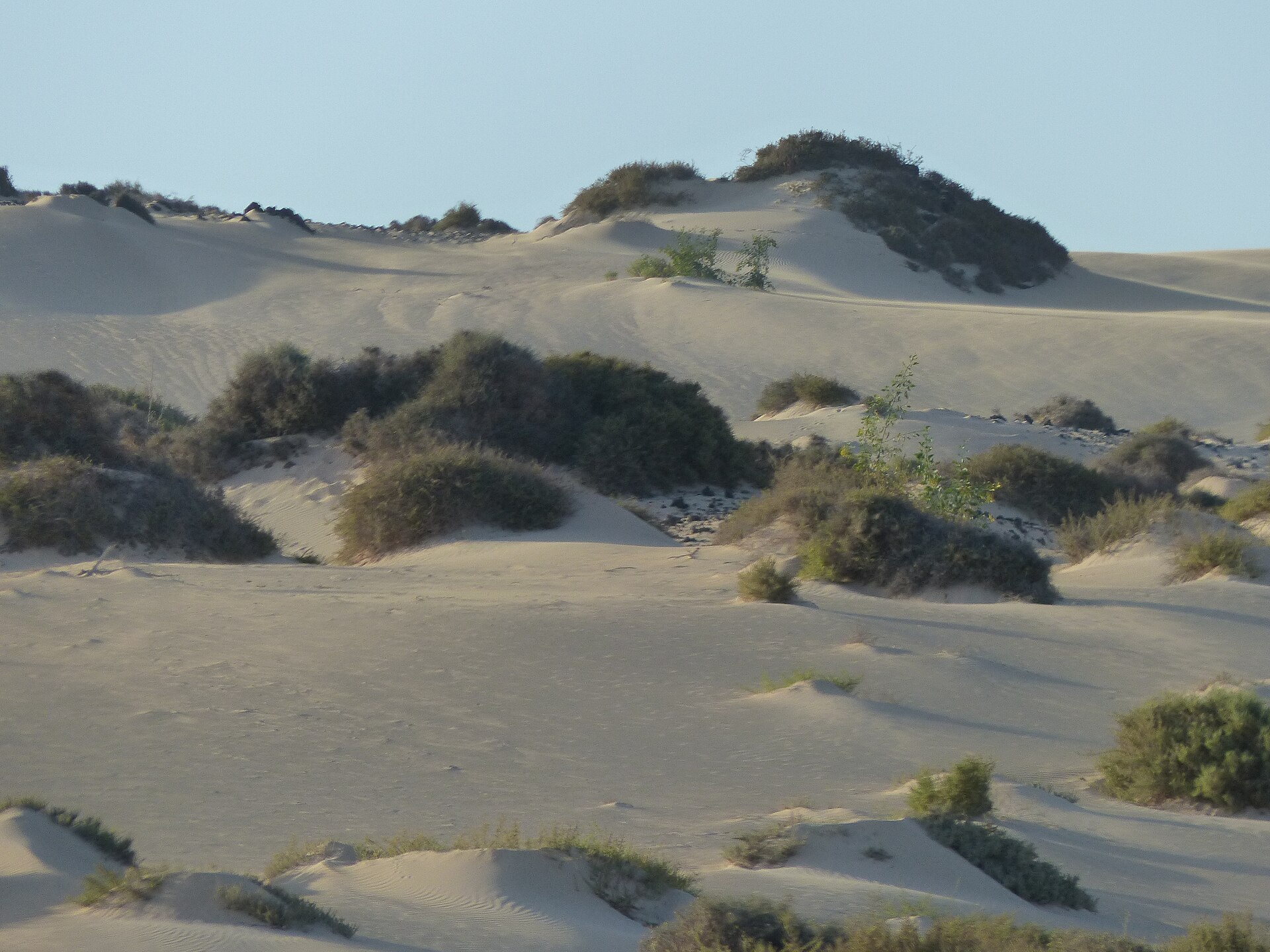Dunas Club — Fuerteventura